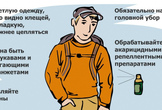 Правила защиты от укусов клещей - безопасность на природе